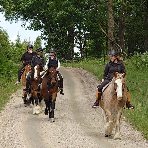 518272904_1143503774476055_6396682191575440724_n