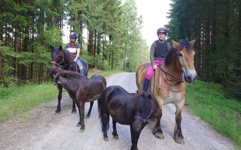 Ridning på skogsväg