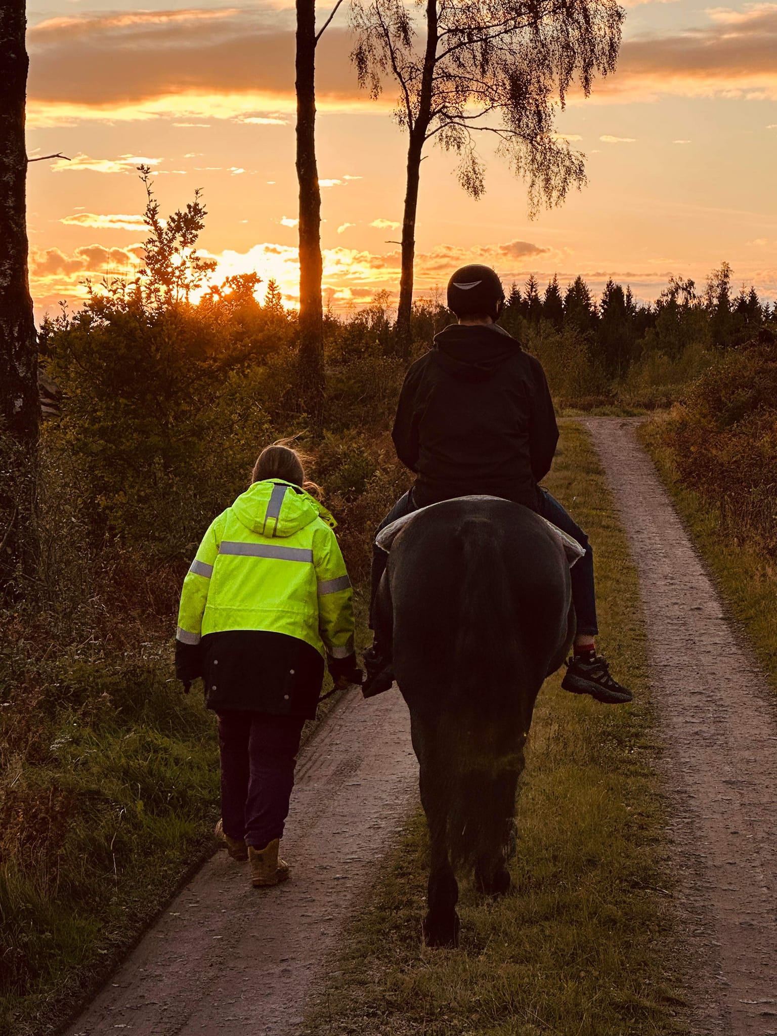 485377412_1058018259691274_7762744816555492465_n